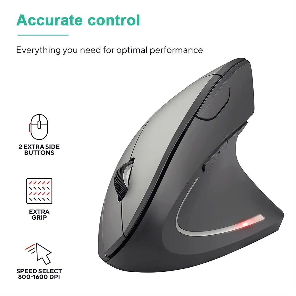 Souris Ergonomic RBFIBRE